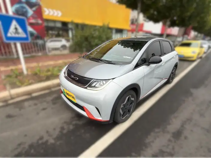 BYD Dolphin 2021 Model Free Edition