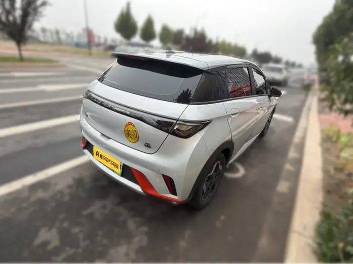 BYD Dolphin 2021 Model Free Edition