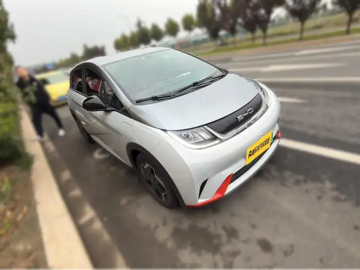 BYD Dolphin 2021 Model Free Edition