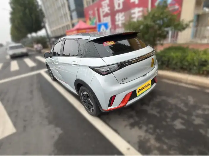 BYD Dolphin 2021 Model Free Edition