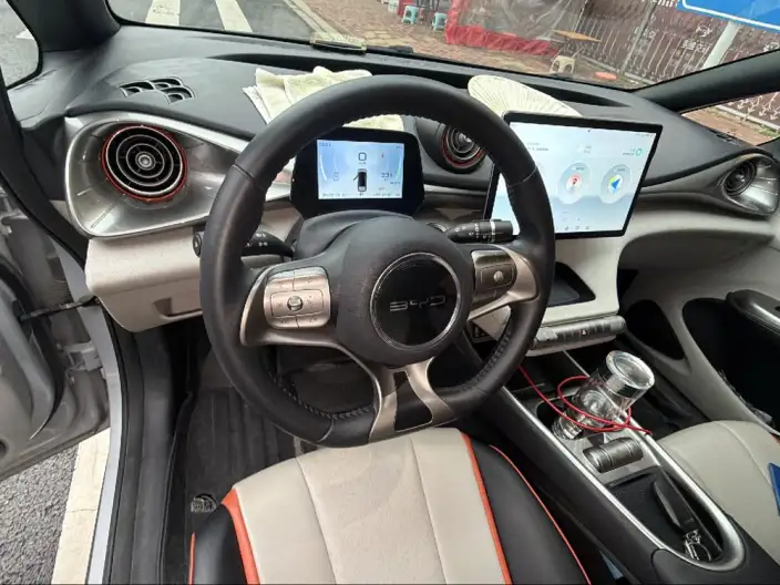 BYD Dolphin 2021 Model Free Edition – фото 7