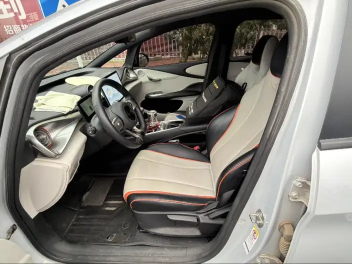 BYD Dolphin 2021 Model Free Edition – фото 10