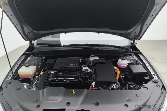 BYD Qin PLUS DM 2024 Model Honor Edition DM-i 55KM Leading Model – фото 5