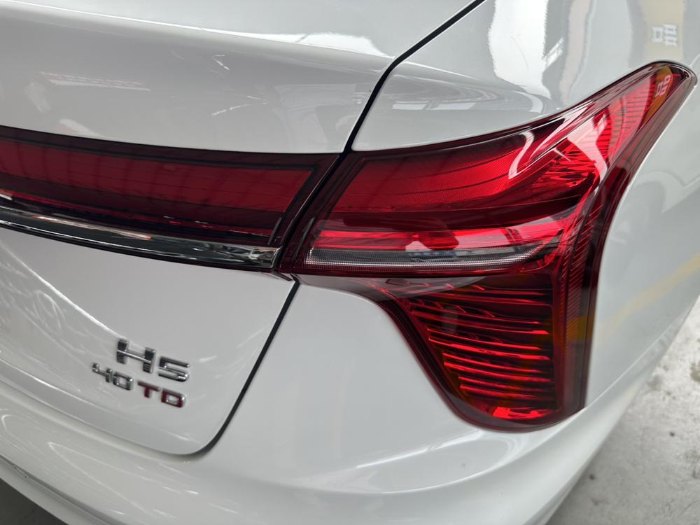 Hongqi H5 2023 2.0T Automatic Connected Qiling – фото 10