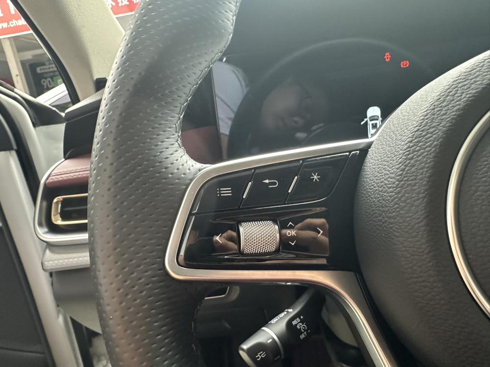 Hongqi H5 2023 2.0T Automatic Connected Qiling – фото 19