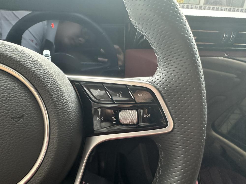 Hongqi H5 2023 2.0T Automatic Connected Qiling – фото 20