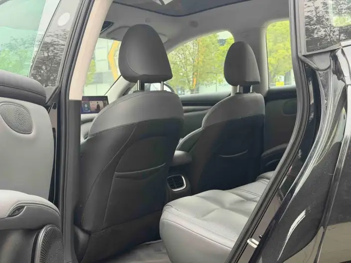 IM LS6 2023 Model Max Standard Edition – фото 9
