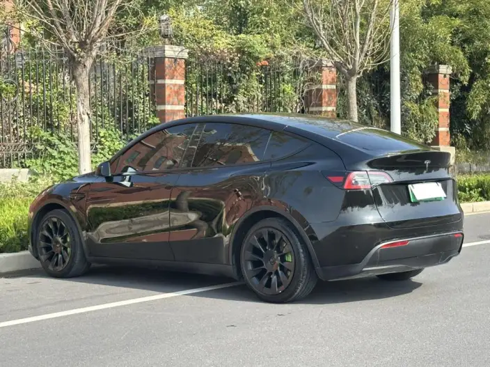Model Y 2022 Model Rear-wheel drive version – фото 5
