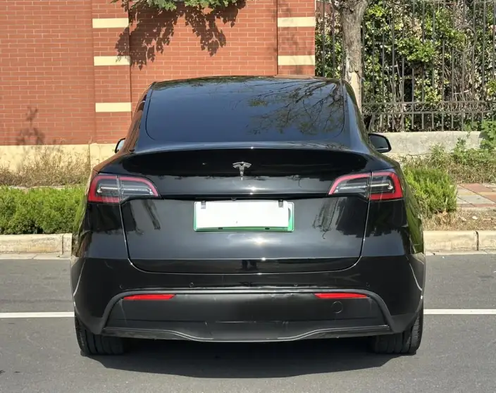 Model Y 2022 Model Rear-wheel drive version – фото 6