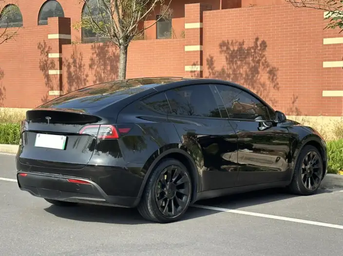 Model Y 2022 Model Rear-wheel drive version – фото 7