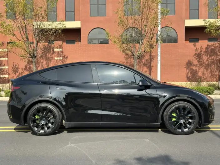 Model Y 2022 Model Rear-wheel drive version – фото 8