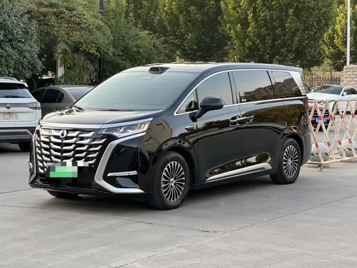 DENZA D9 DM 2025 Model 4WD Supreme Model