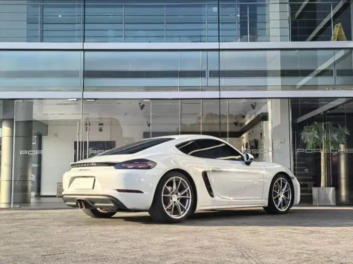 Porsche 718 2023 Model Cayman 2.0T – фото 6