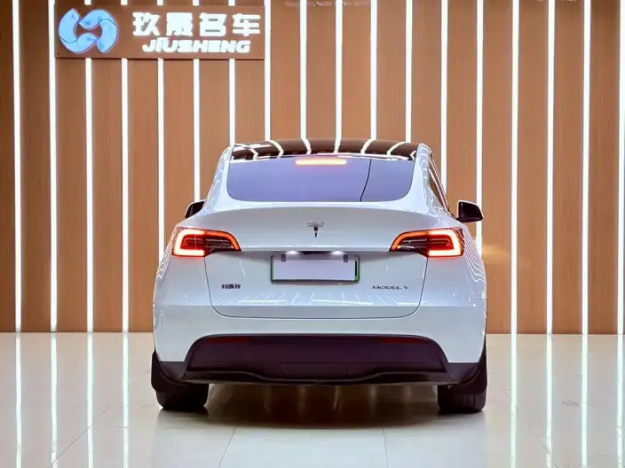 Model Y 2024 Model Rear-wheel drive version – фото 5
