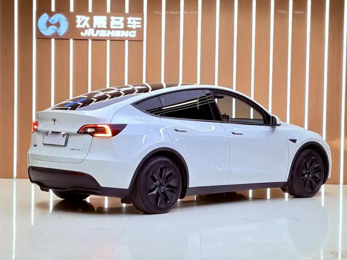 Model Y 2024 Model Rear-wheel drive version – фото 6
