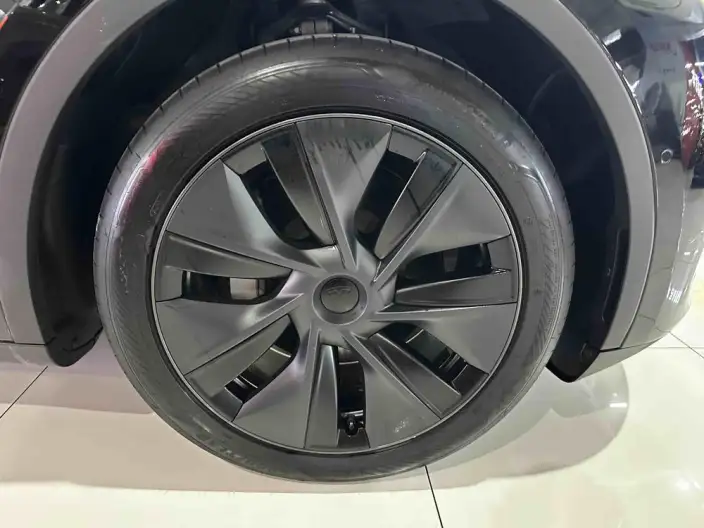 Model Y 2024 Model Rear-wheel drive version – фото 8