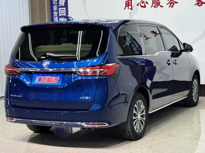 Buick GL8 2022 Model Facelift Business class 2.0T Noble Model – фото 6