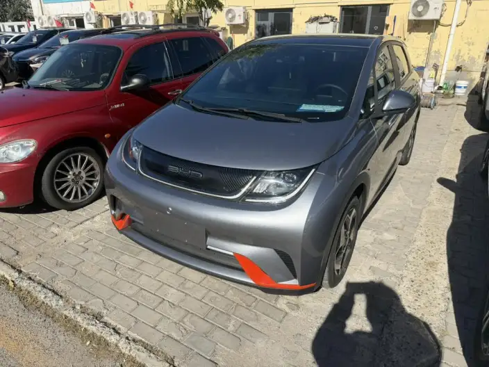 BYD Dolphin 2021 Model Free Edition – фото 1