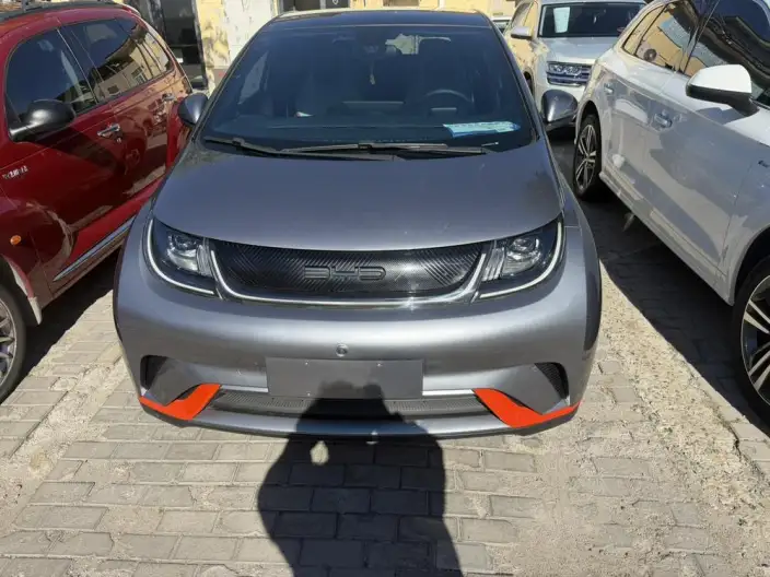 BYD Dolphin 2021 Model Free Edition – фото 2
