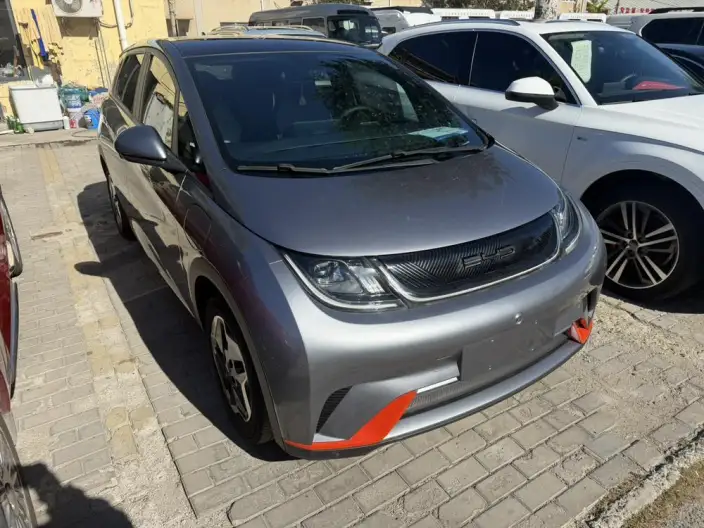 BYD Dolphin 2021 Model Free Edition – фото 3