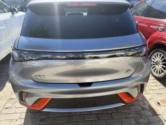 BYD Dolphin 2021 Model Free Edition – фото 4