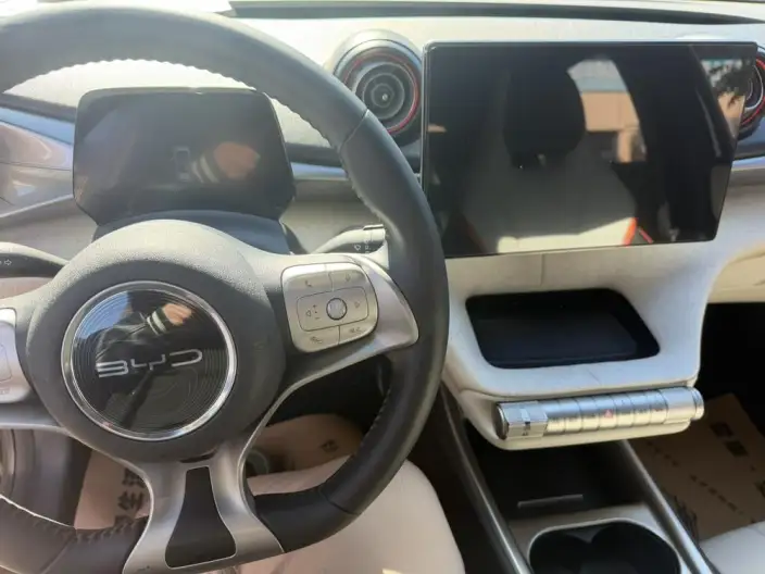 BYD Dolphin 2021 Model Free Edition – фото 6