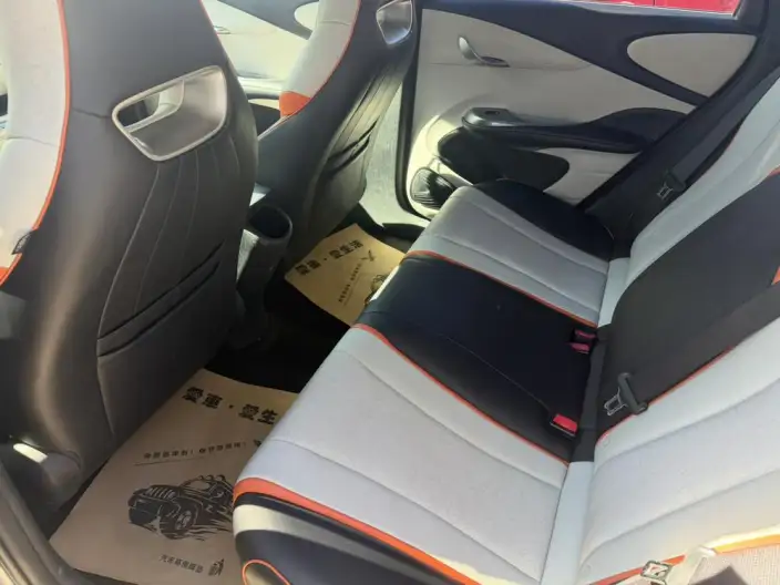BYD Dolphin 2021 Model Free Edition – фото 10