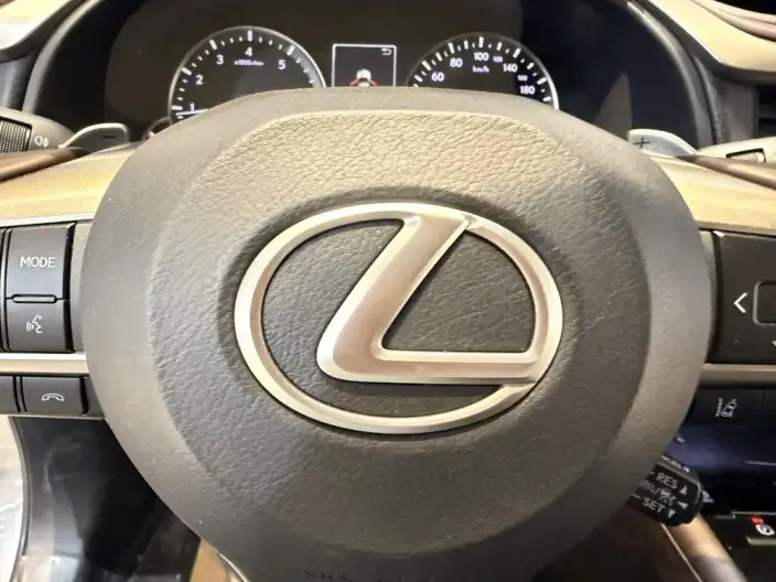 Lexus RX 2020 Model Facelift 300 4WD Elegant Edition – фото 8