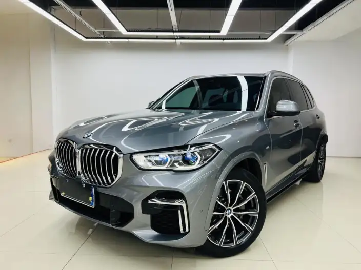 BMW X5 2022 Model xDrive 30Li Exclusive Model M Sports Set – фото 1