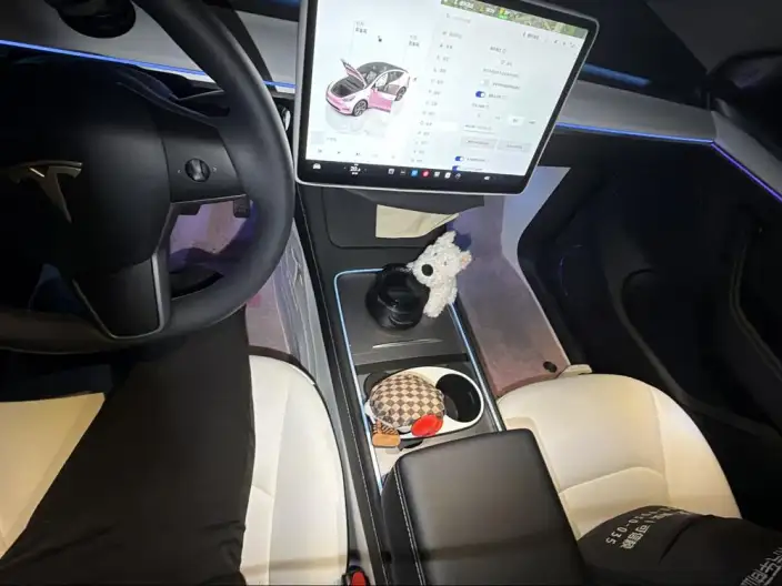 Model Y 2024 Model Long Battery Life Pro All-wheel drive version – фото 9