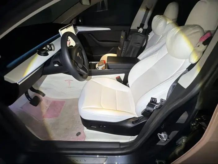 Model Y 2024 Model Long Battery Life Pro All-wheel drive version – фото 10