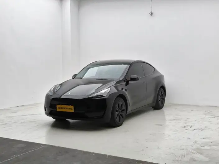 Model Y 2023 Model Rear-wheel drive version – фото 1