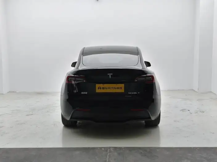 Model Y 2023 Model Rear-wheel drive version – фото 6