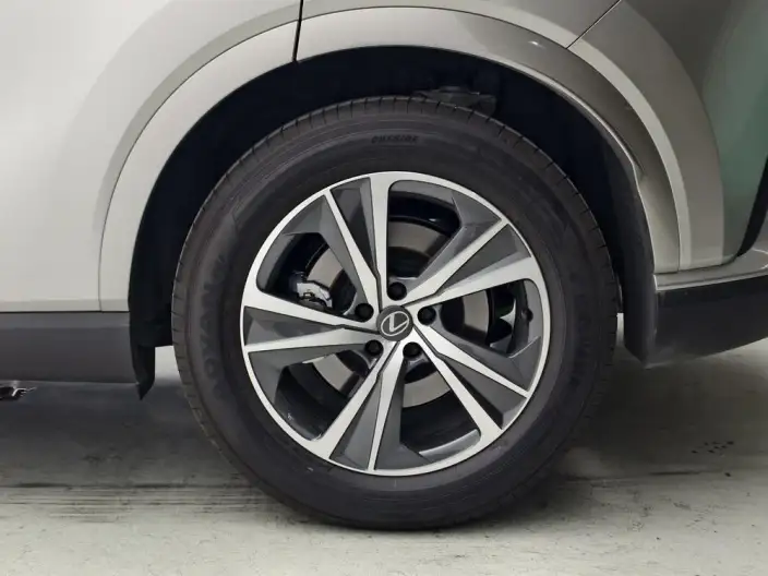 Lexus RX 2026 Model 350h 2WD Yuexiang Edition – фото 9