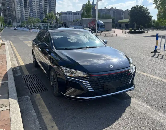 Yixuan Max 2023 Model 1.5T Super Fantasy Tide Dad Edition – фото 3