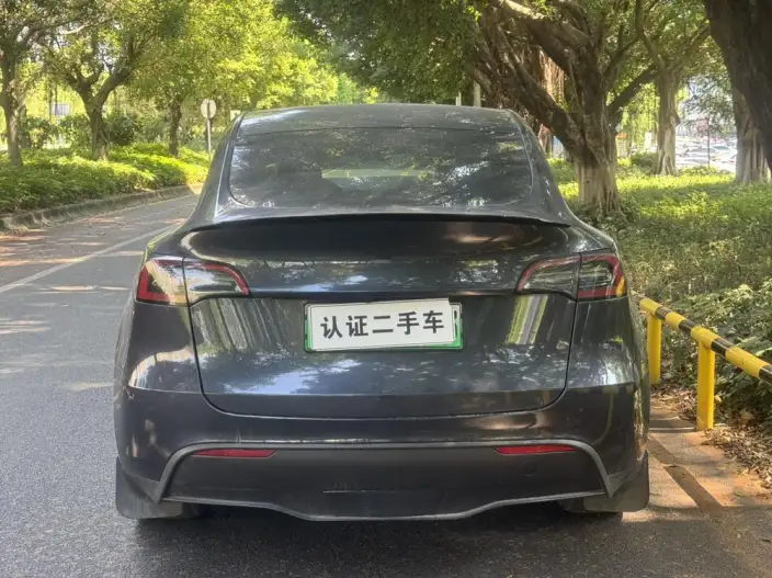 Model Y 2024 Model Rear-wheel drive version – фото 5
