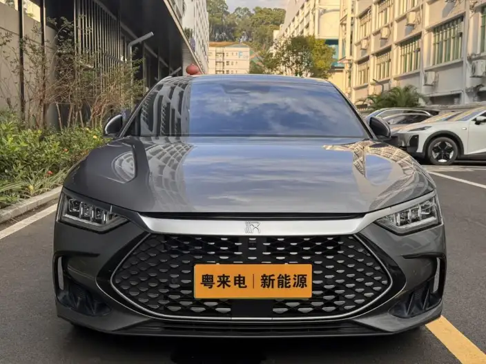 BYD Han DM 2022 Model DM-i 121KM Exclusive Model – фото 2