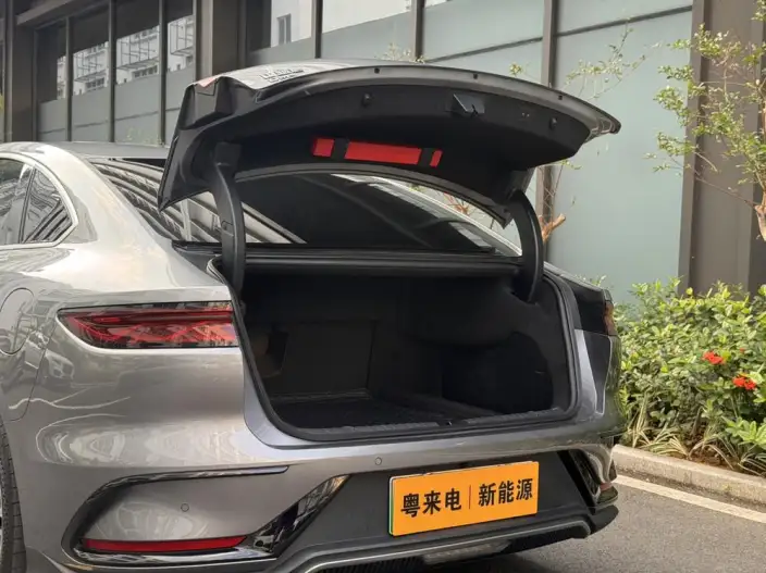 BYD Han DM 2022 Model DM-i 121KM Exclusive Model – фото 9