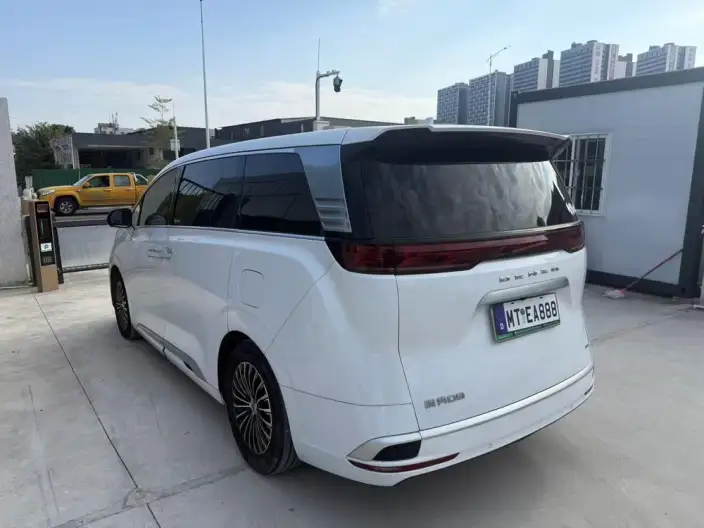 DENZA D9 DM 2024 Model 1050 Exclusive Model – фото 4