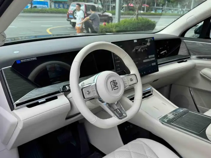 Datang EV 2026 Model 950KM Rear Drive LiDAR Flagship Model – фото 9