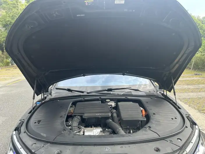 BYD Han DM 2022 Model DM-i 121KM Exclusive Model – фото 8