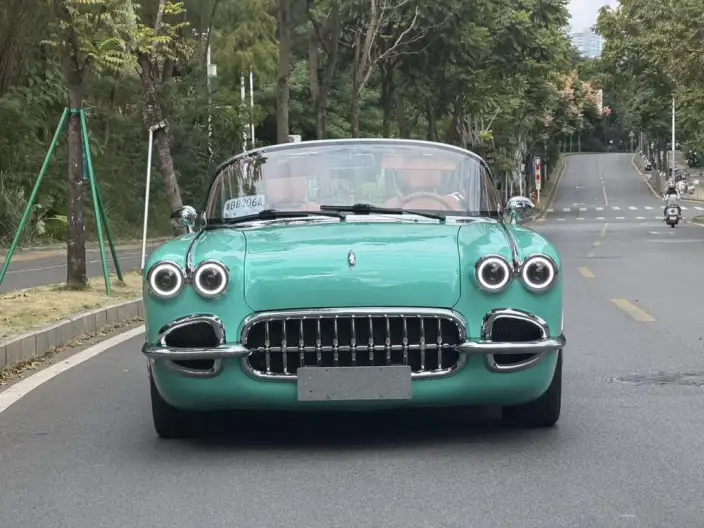 SS DOLPHIN 2020 Model 1.5T Plug-in hybrid Standard Model – фото 2