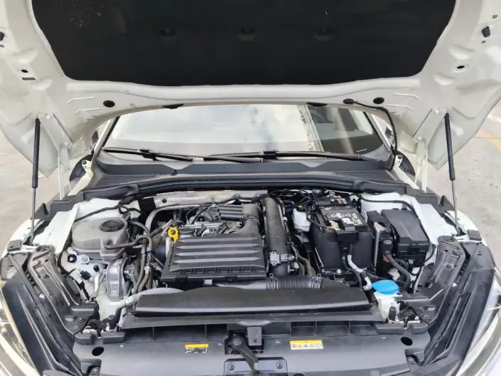 Volkswagen Lamando 2024 Model Volkswagen Lamando L 280TSI DSG Spicy version – фото 8