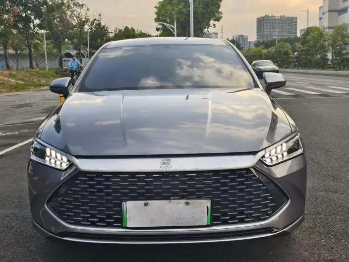 BYD Qin PLUS DM 2024 Model Honor Edition DM-i 55KM Leading Model – фото 2