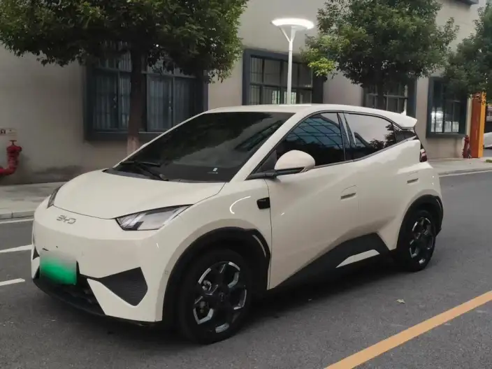 BYD Seagull 2025 Model Smart Driving Edition 305KM Free Edition – фото 1