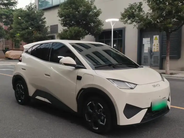 BYD Seagull 2025 Model Smart Driving Edition 305KM Free Edition – фото 3