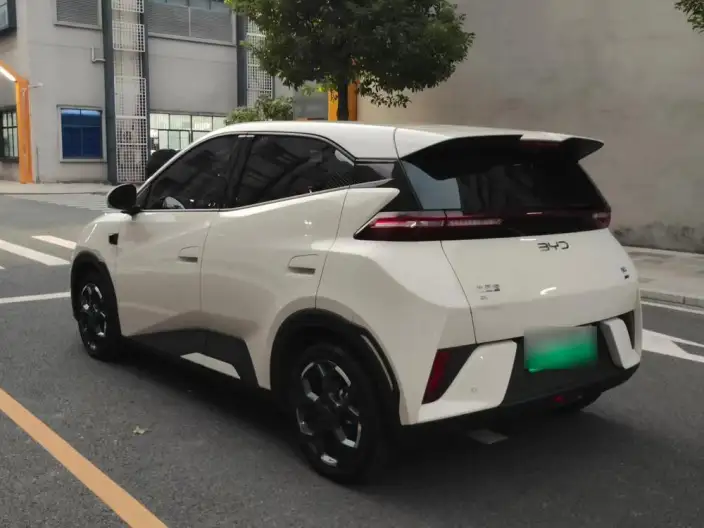 BYD Seagull 2025 Model Smart Driving Edition 305KM Free Edition – фото 4