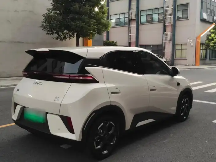 BYD Seagull 2025 Model Smart Driving Edition 305KM Free Edition – фото 6