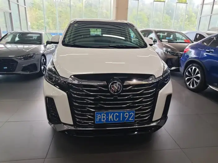Buick GL8 2023 Model Business class 2.0T Luxury Model – фото 2