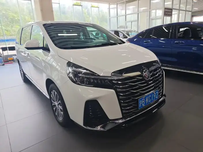 Buick GL8 2023 Model Business class 2.0T Luxury Model – фото 3